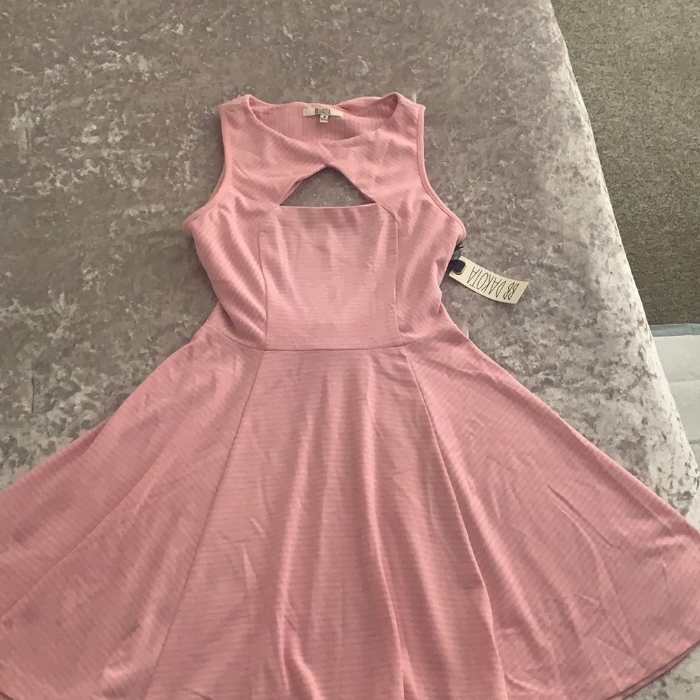 BB Dakota pink striped dress